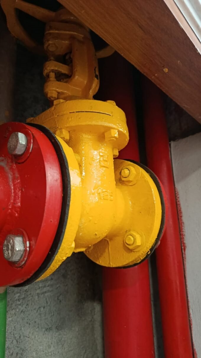 CIEE projeto realizado pela NAF